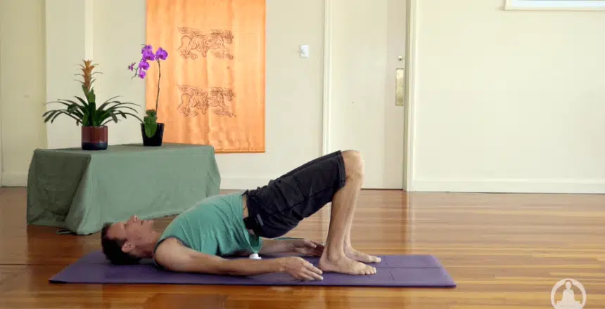 Yoga-for-lower-back-pain-for-beginners-pdtu9dyy1dmevu0xihautu3ve44j0jswio9i8pitrk